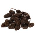 Floristik24 Naturlige ellekogler, løse, til dekoration, 3 cm, 300 g, naturbrun.