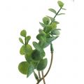 Floristik24 Kunstig eukalyptusgren grøn 37cm 6stk