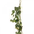 Floristik24 Kunstig eukalyptus guirlande med tidsler efterårsdekoration 150cm