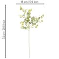 Kunstig eukalyptusgren med runde blade, 75 cm, 4 stk. | Floristik24.dk