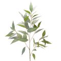 Floristik24 Kunstig eukalyptusgren, naturlig grøn, dekoration, 100 cm