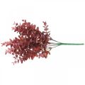 Floristik24 Efterårspynt eukalyptus gren rød Kunstig eukalyptus 36cm
