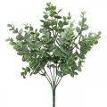 Floristik24 Eukalyptus gren grøn kunstig eukalyptus dekoration på pick 36cm