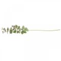 Floristik24 Kunstig eucalyptus gren deco grøn plante grøn, lyserød 75cm