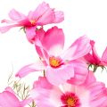 Floristik24 Cosmea Kosmee smykkekurv kunstig blomst pink 75cm