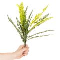 Kunstig bregnegren, kunstig grøn plante til dekoration, 45 cm | Floristik24.dk