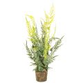 Floristik24 Kunstig bregneplante med rodklump til bolig- og kontordekoration, 57 cm