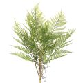 Floristik24 Kunstig bregnegren, dekorativ grøn plante til blomsterarrangementer, 80 cm