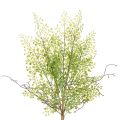 Floristik24 Kunstig grøn Ruscus-gren til blomsterdekoration, 41 cm