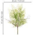 Kunstig grøn Ruscus-gren til blomsterdekoration, 41 cm | Floristik24.dk