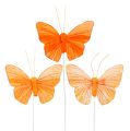 Floristik24 Fjer sommerfugl 8cm orange 24stk