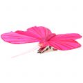 Floristik24 Fjer sommerfugl på klip farverig 6cm 12stk
