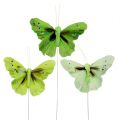 Floristik24 Fjer sommerfugl 8,5 cm grøn 12stk