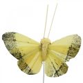 Floristik24 Fjer sommerfugl på tråd 5cm orange, gul 24stk