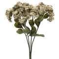 Floristik24 Stonecrop creme sedum stenurt kunstige blomster 48cm 4stk