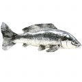 Floristik24 Dekorativ fisk sølv 22cm