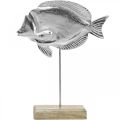 Floristik24 Pyntefisk, maritim dekoration, fisk af sølvmetal, naturfarve H28,5cm