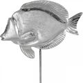 Floristik24 Pyntefisk, maritim dekoration, fisk af sølvmetal, naturfarve H28,5cm