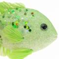 Floristik24 Dekorativ fisk til hængende grøn lyserød orange blå 13-24 cm 6stk
