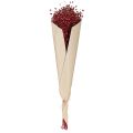 Hør Bordeaux Rød Tørrede Dekorationsblomster L55cm 80g | Floristik24.dk