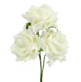 Floristik24 Skumrose Ø7,5cm Creme 18 stk