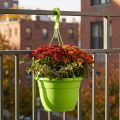 Hængekurv 25cm grøn | Floristik24.dk