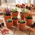 Lerpotte, Ø5 cm, højde 4 cm, 10 stk. | Floristik24.dk