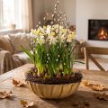 Floristik24 Rund plantekasse, blomsterdekoration, plastikskål, beholder til arrangementer, grøn, meleret hvid, H8,5 cm, Ø30 cm