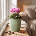 Zink urtepotte, mintgrøn, Ø15 cm, H13,5 cm | Floristik24.dk