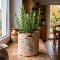 Blomsterpotte dekorativ dåse laks metal urtepotte Ø8cm H7,5cm | Floristik24.dk
