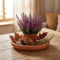 Coaster terracotta ler, keramik kar Ø17,5cm | Floristik24.dk