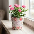 Plantekasse, spand til udplantning, plantekasse med rose H13cm Ø13,5cm | Floristik24.dk