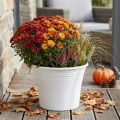 Plastpotte “Irys” hvid Ø29cm H24cm 1 stk | Floristik24.dk