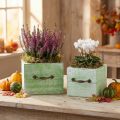 Plantekasse træskuffe lysegrøn 15x15/12x12cm sæt med 2 stk | Floristik24.dk