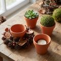 Lerpotte Ø7 cm høj 6 cm 10 stk. | Floristik24.dk
