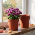 Plantepotte plast Ø17cm 10stk | Floristik24.dk