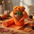 Florist crepe papir Orange 50x250cm | Floristik24.dk