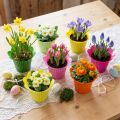 Plastpotteblomst Ø12cm 25 stk | Floristik24.dk