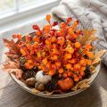 En buket orange bær, 20 cm lange | Floristik24.dk