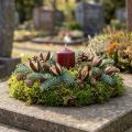 Vild lilje naturlig dekoration eksotiske tørrede blomster 6-8 cm 50 stk | Floristik24.dk