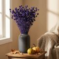 Jordbærtidsler Tørtidseltidseldekoration Violet 44-58cm 100g | Floristik24.dk