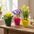 Plastpotteblomst Ø10,5cm 25 stk | Floristik24.dk