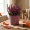 Plantekrukke med bladdekoration, efterårsdekoration, metal plantekasse vinrød Ø16,5 cm H14,5 cm | Floristik24.dk