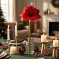 Kunstig Amaryllis Juleblomster Røde Kunstige Blomster L40cm | Floristik24.dk