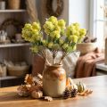 Fed Høne Grøn Sedum Stengrøde Kunstige Blomster 41cm 3stk | Floristik24.dk