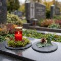 Naturskiferplade rundskåner sort Ø10cm 6 stk | Floristik24.dk