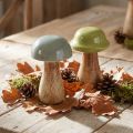Træsvampe dekorative svampe træ grågrøn Ø6cm H10cm 2 stk. | Floristik24.dk