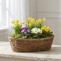 Naturlig plantepotte af vinstok, oval blomsterpotte, 40x19x11,5 cm | Floristik24.dk