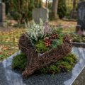 Vinehjerte til plantning af naturen 30cm x 25cm | Floristik24.dk