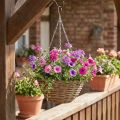 Kurvlampe natur Ø30cm | Floristik24.dk